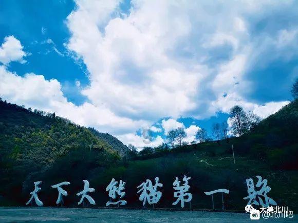 小汪汪