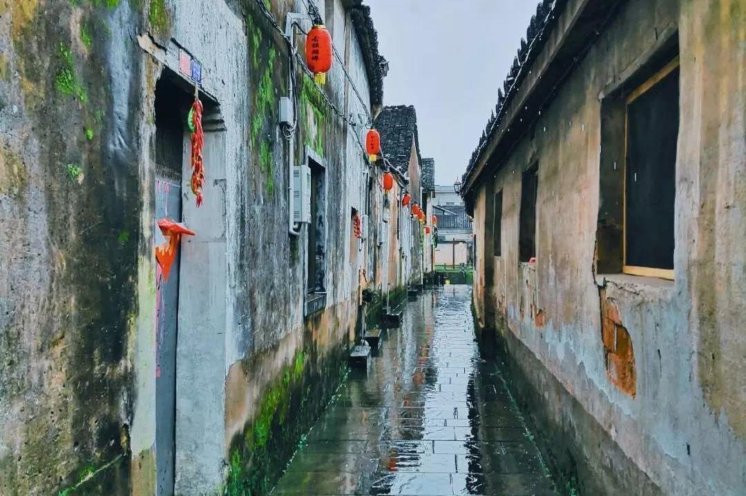 时尚小鸡救援